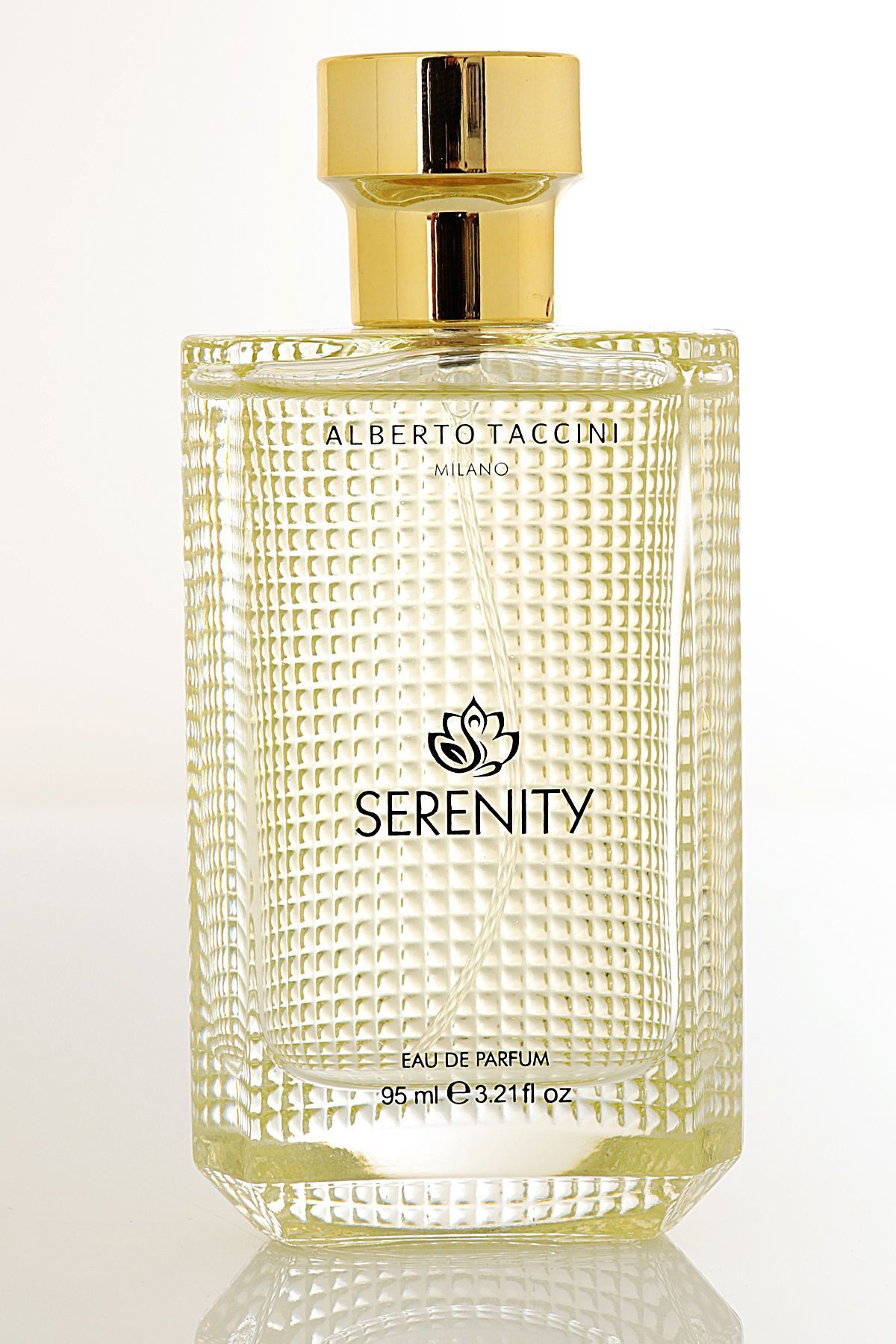 40682 عطر مردانه ایران ریچ کیدز | Alberto Taccini