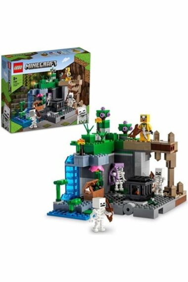 21189 ® Minecraft® Skeleton Dungeon 21189 - ست ساختمان برای کودکان 8 سال به بالا (364 قطعه)  ایران ریچ کیدز | LEGO